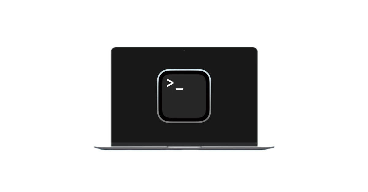 Terminal