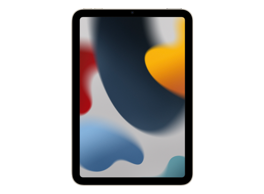iPad mini (6th generation) Wi-Fi + Cellular