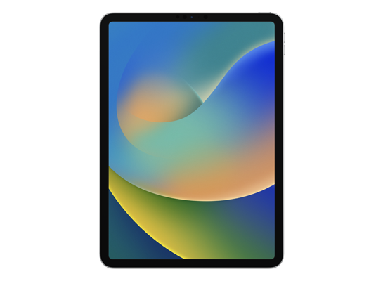 iPad Pro 11-inch (4th generation) Wi-Fi + Cellular